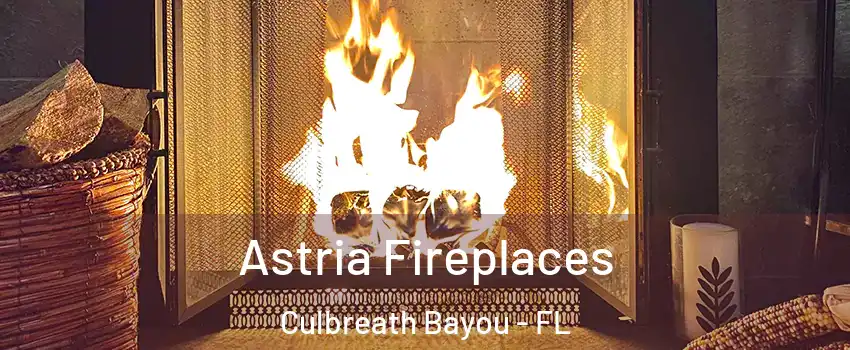 Astria Fireplaces Culbreath Bayou - FL