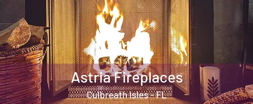 Astria Fireplaces Culbreath Isles - FL