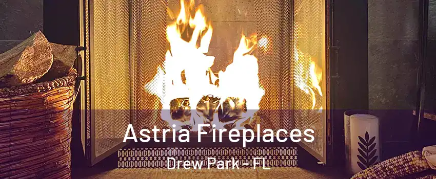 Astria Fireplaces Drew Park - FL