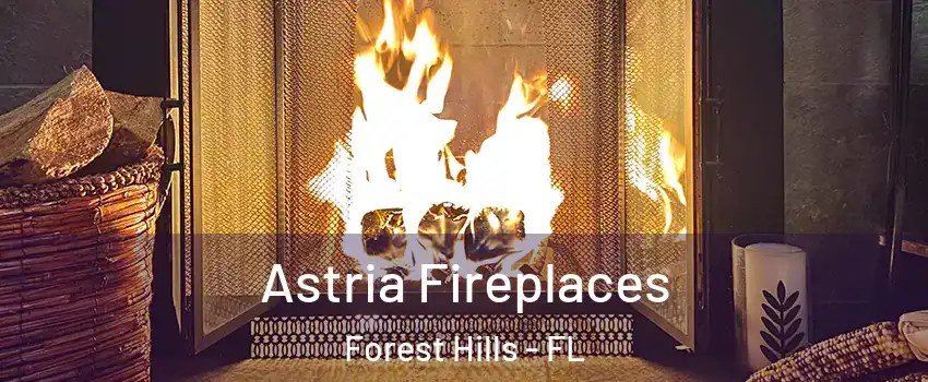 Astria Fireplaces Forest Hills - FL