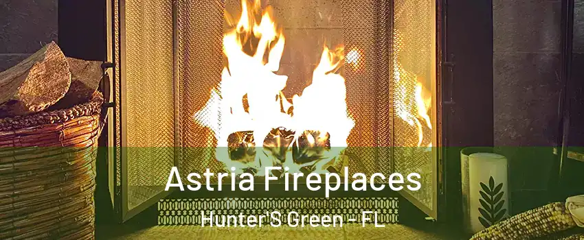 Astria Fireplaces Hunter'S Green - FL