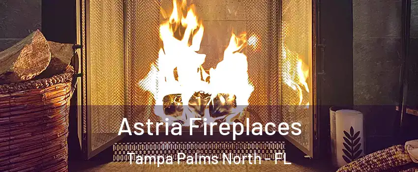 Astria Fireplaces Tampa Palms North - FL