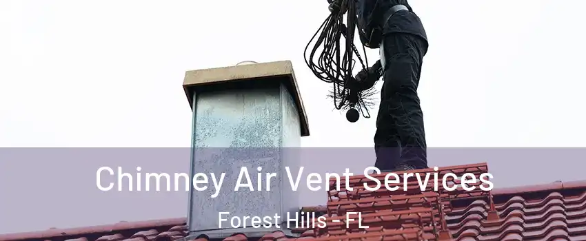 Chimney Air Vent Services Forest Hills - FL