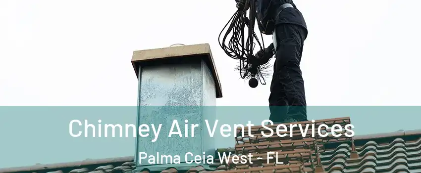 Chimney Air Vent Services Palma Ceia West - FL