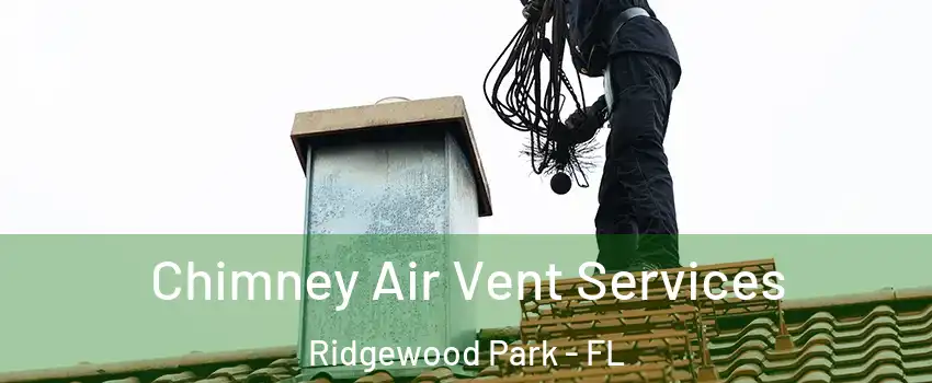 Chimney Air Vent Services Ridgewood Park - FL