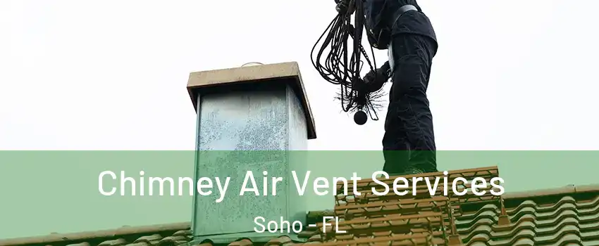 Chimney Air Vent Services Soho - FL