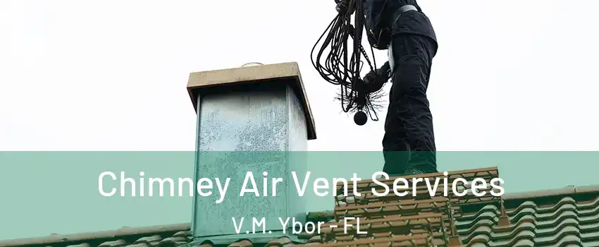 Chimney Air Vent Services V.M. Ybor - FL