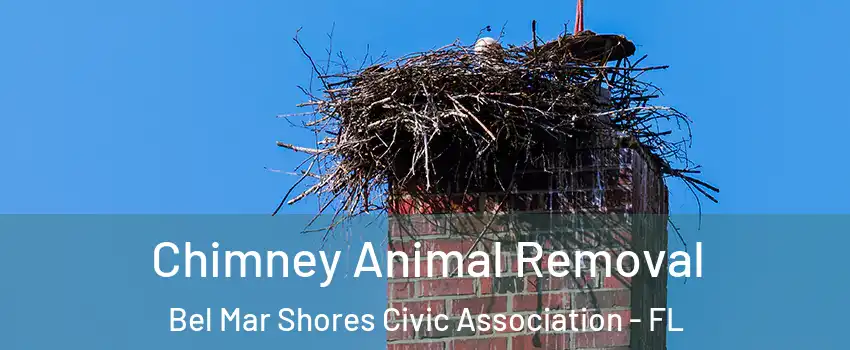 Chimney Animal Removal Bel Mar Shores Civic Association - FL