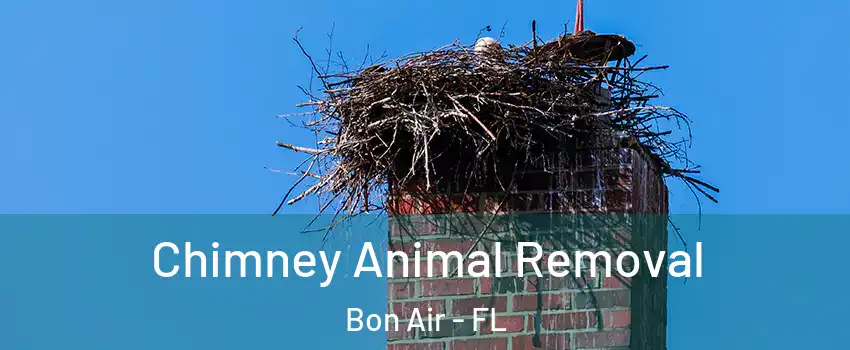 Chimney Animal Removal Bon Air - FL