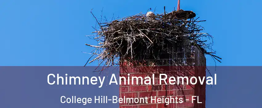 Chimney Animal Removal College Hill-Belmont Heights - FL