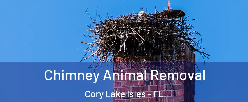 Chimney Animal Removal Cory Lake Isles - FL