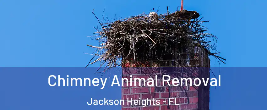 Chimney Animal Removal Jackson Heights - FL
