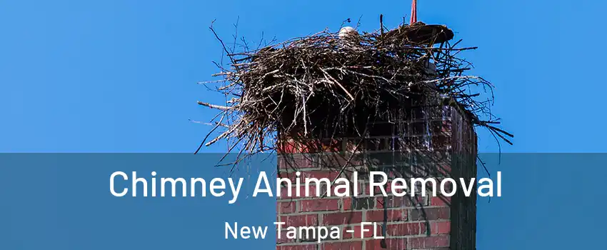 Chimney Animal Removal New Tampa - FL