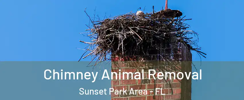 Chimney Animal Removal Sunset Park Area - FL