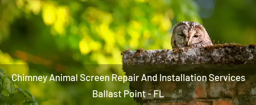 Chimney Animal Screen Repair And Installation Services Ballast Point - FL