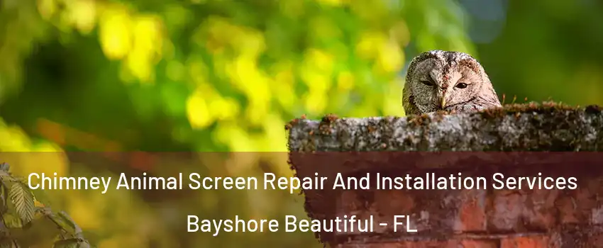 Chimney Animal Screen Repair And Installation Services Bayshore Beautiful - FL