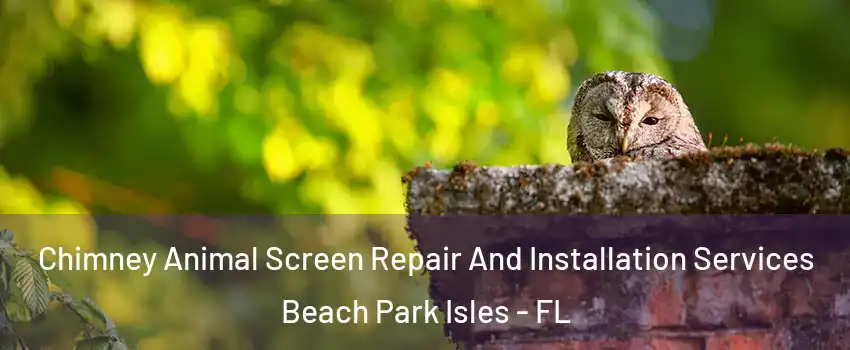 Chimney Animal Screen Repair And Installation Services Beach Park Isles - FL