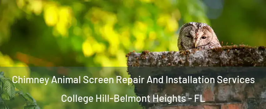 Chimney Animal Screen Repair And Installation Services College Hill-Belmont Heights - FL