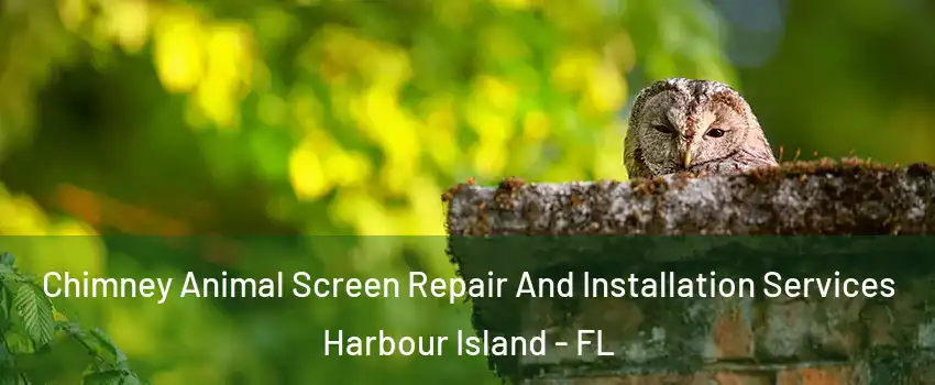 Chimney Animal Screen Repair And Installation Services Harbour Island - FL