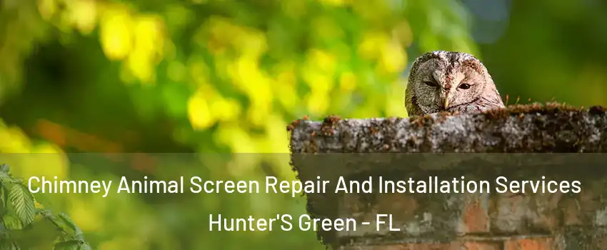Chimney Animal Screen Repair And Installation Services Hunter'S Green - FL