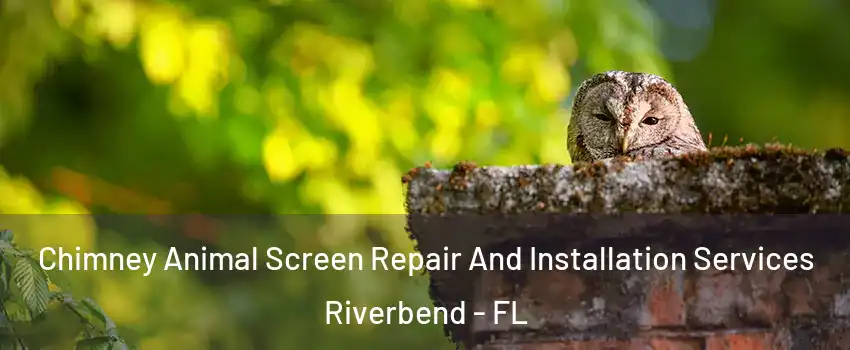 Chimney Animal Screen Repair And Installation Services Riverbend - FL