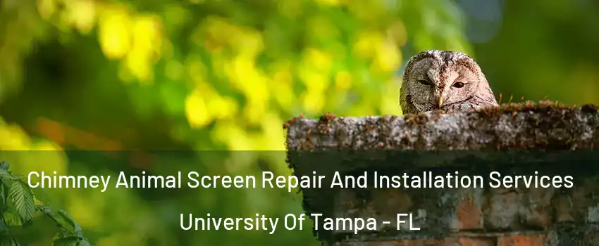 Chimney Animal Screen Repair And Installation Services University Of Tampa - FL