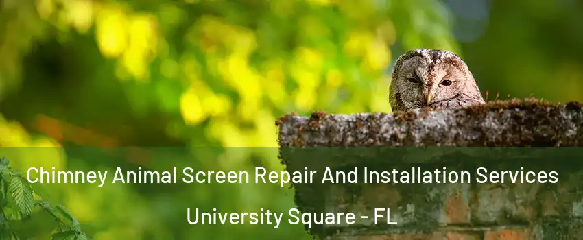 Chimney Animal Screen Repair And Installation Services University Square - FL