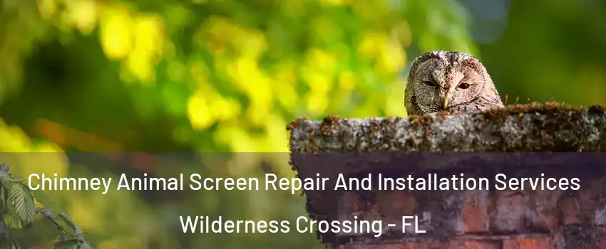 Chimney Animal Screen Repair And Installation Services Wilderness Crossing - FL