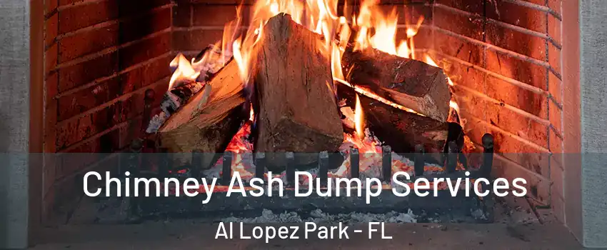 Chimney Ash Dump Services Al Lopez Park - FL