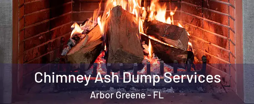 Chimney Ash Dump Services Arbor Greene - FL
