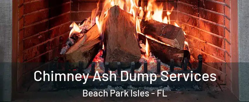 Chimney Ash Dump Services Beach Park Isles - FL