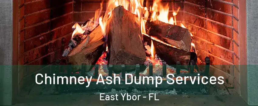 Chimney Ash Dump Services East Ybor - FL