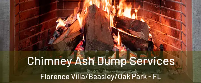 Chimney Ash Dump Services Florence Villa/Beasley/Oak Park - FL
