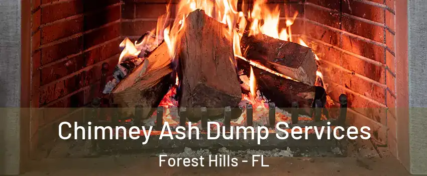 Chimney Ash Dump Services Forest Hills - FL