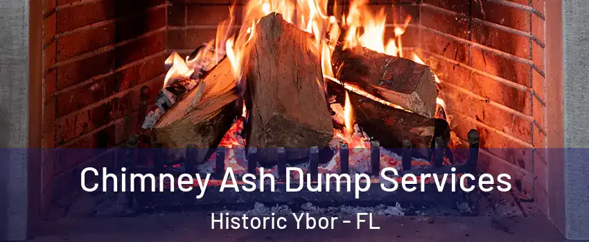 Chimney Ash Dump Services Historic Ybor - FL