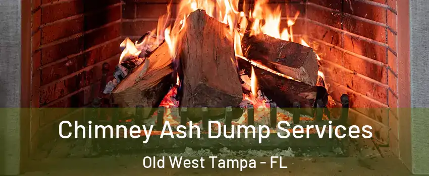 Chimney Ash Dump Services Old West Tampa - FL