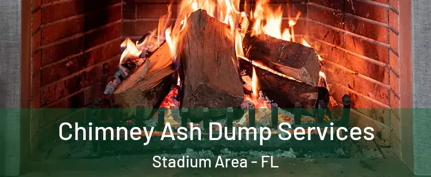 Chimney Ash Dump Services Stadium Area - FL