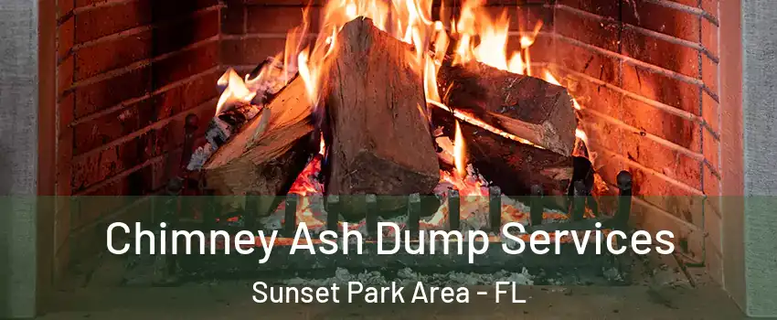 Chimney Ash Dump Services Sunset Park Area - FL
