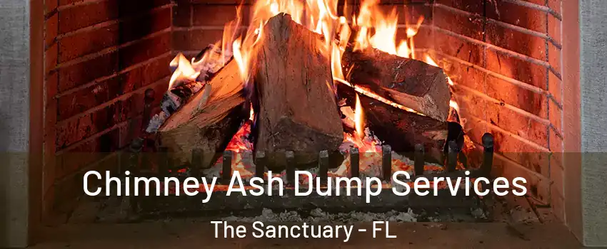 Chimney Ash Dump Services The Sanctuary - FL