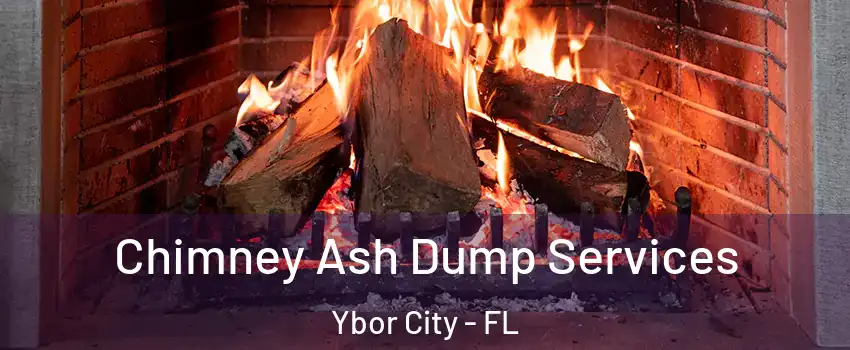 Chimney Ash Dump Services Ybor City - FL