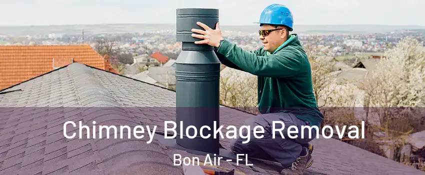 Chimney Blockage Removal Bon Air - FL