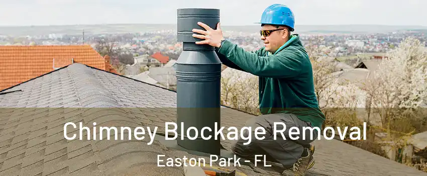 Chimney Blockage Removal Easton Park - FL