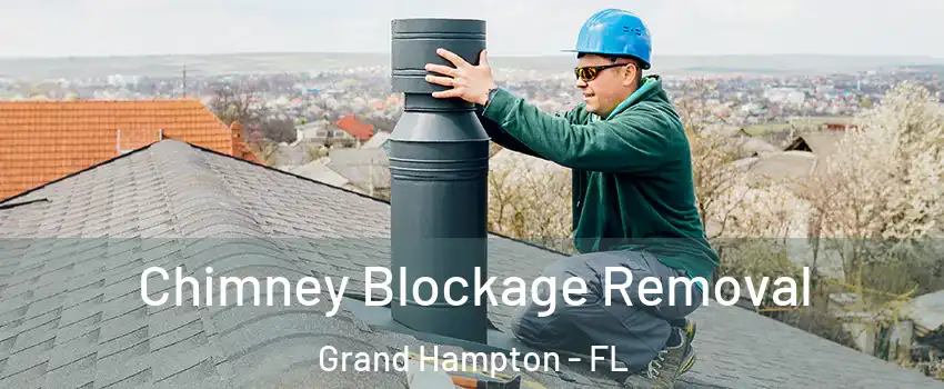 Chimney Blockage Removal Grand Hampton - FL