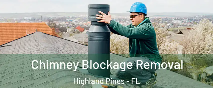 Chimney Blockage Removal Highland Pines - FL