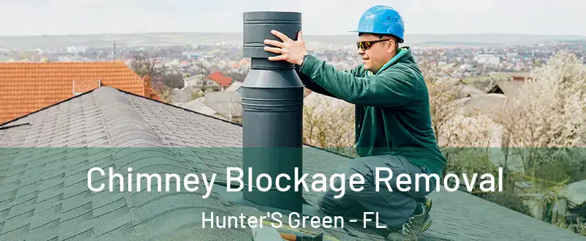 Chimney Blockage Removal Hunter'S Green - FL
