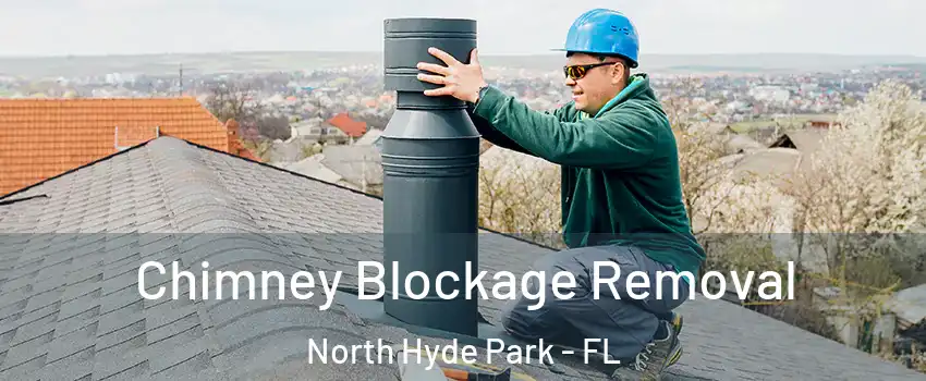 Chimney Blockage Removal North Hyde Park - FL