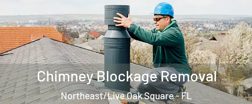 Chimney Blockage Removal Northeast/Live Oak Square - FL