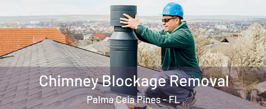 Chimney Blockage Removal Palma Ceia Pines - FL