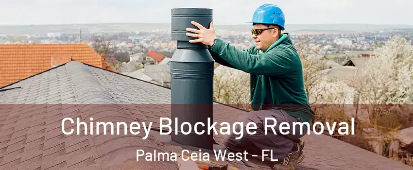 Chimney Blockage Removal Palma Ceia West - FL