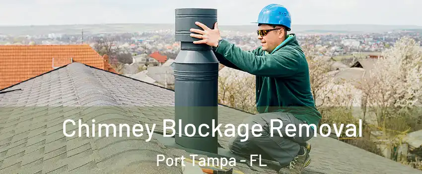 Chimney Blockage Removal Port Tampa - FL